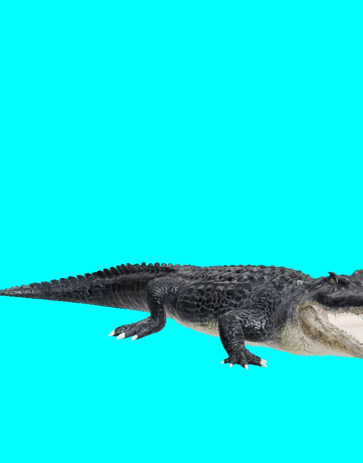 alligator animation