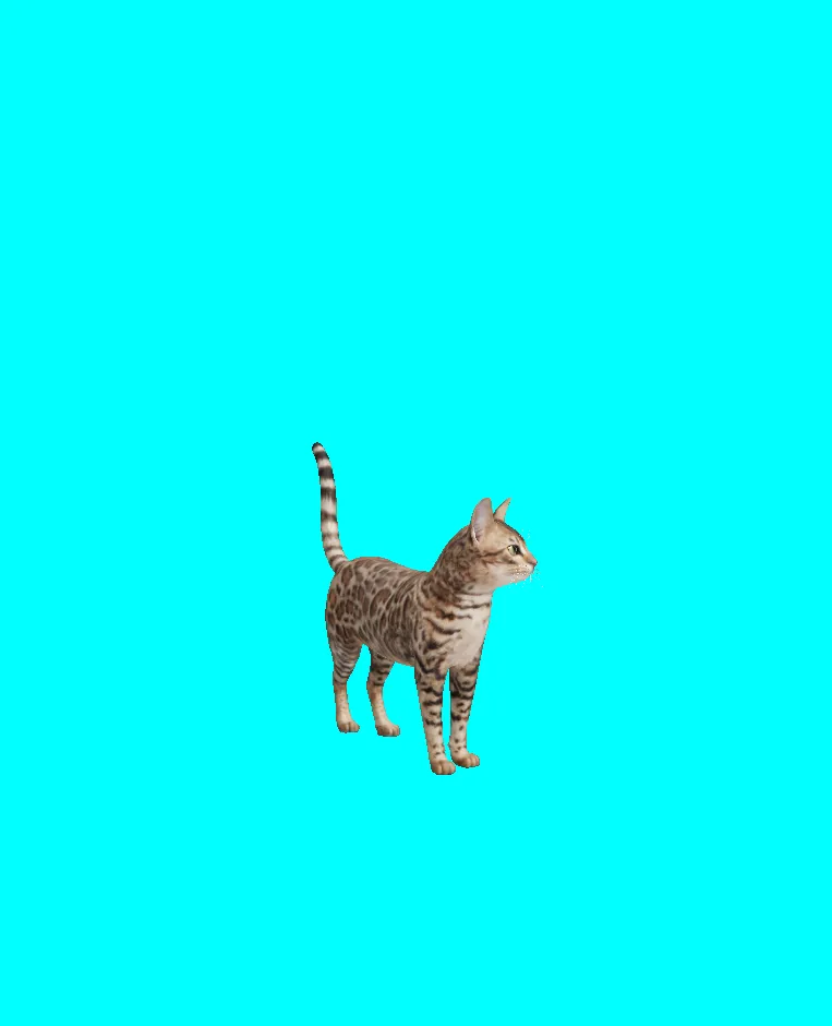 animated bengal cat