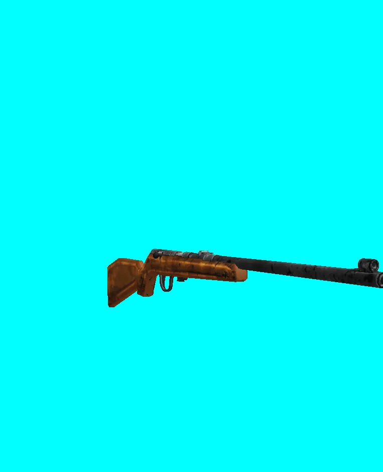 bolt rifle