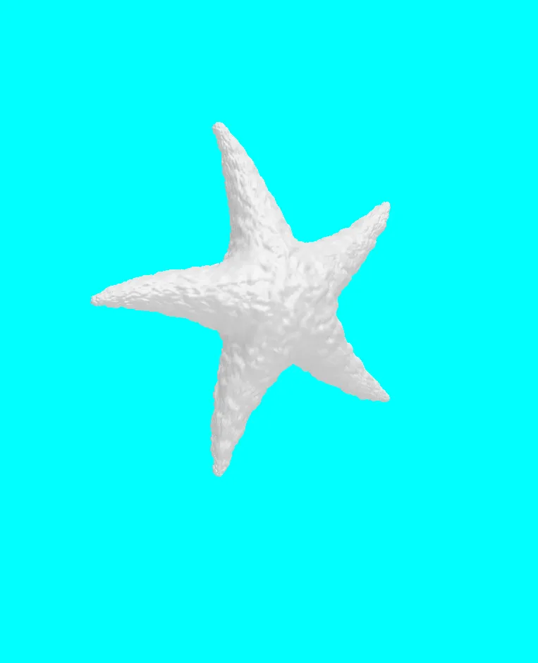 common n atlantic starfish