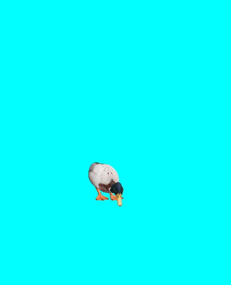 duck animation