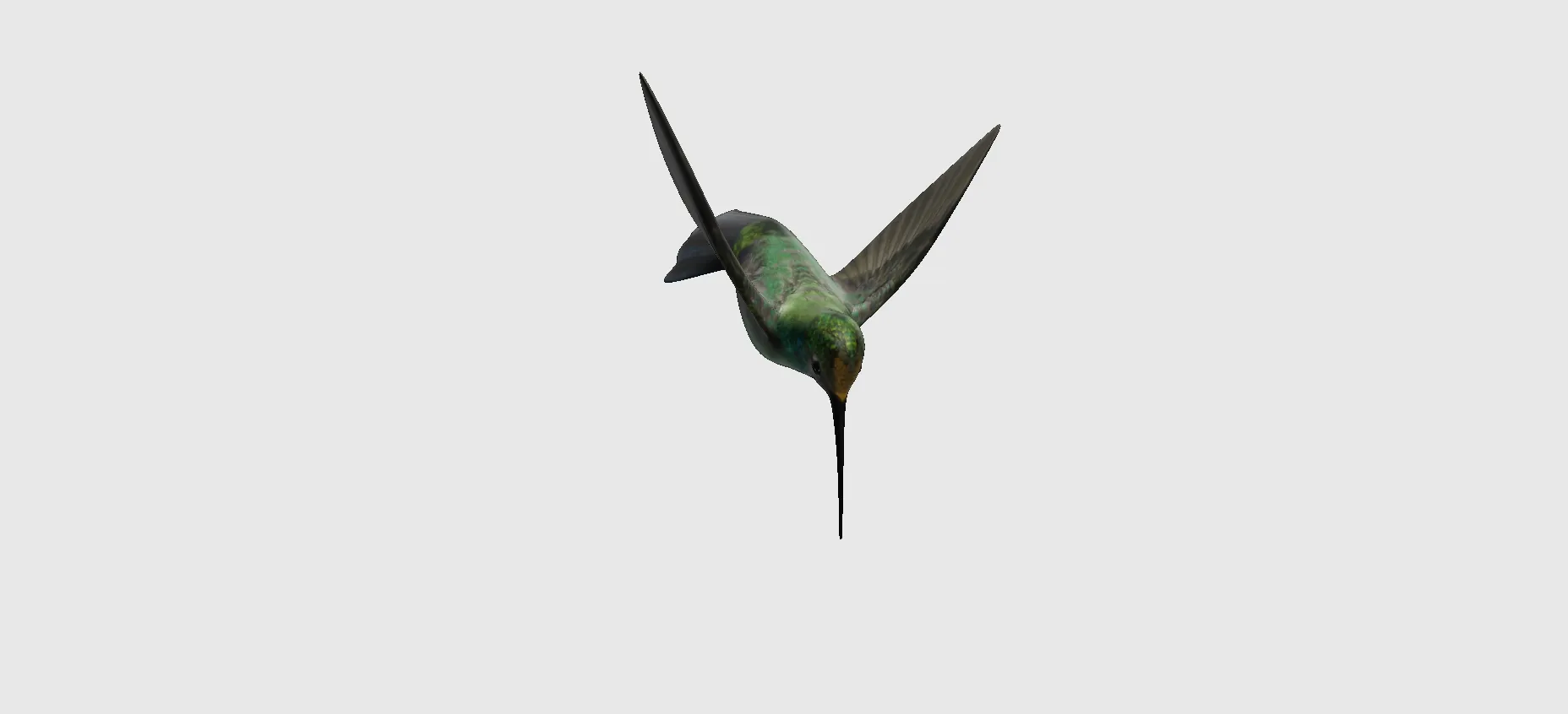 hummingbird iterations 2